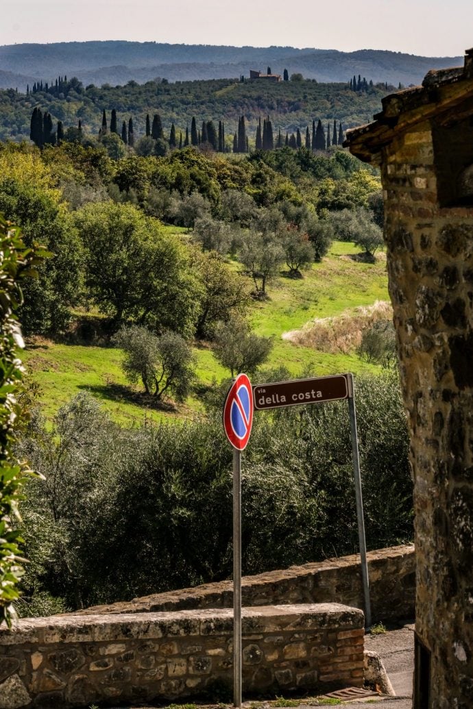 View across the hills in Montebenichi