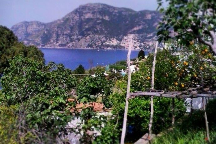 Lemon gardens and idyllic sea view of amalfi coast.