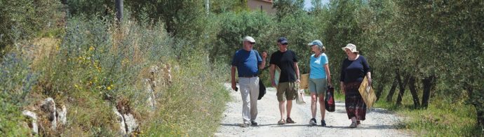 Group of painting students in Tuscan countryside.