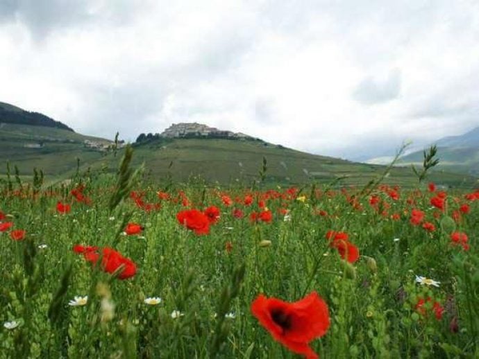 Spring in Sicily with flowers and hills