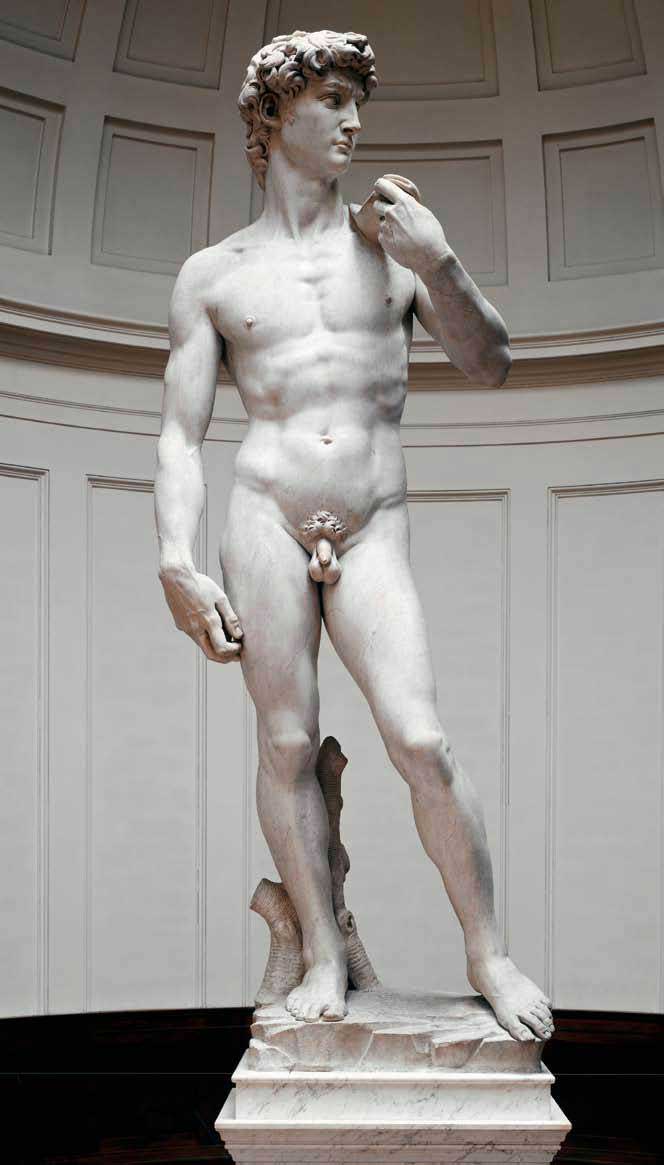 Michelangelo's David in the Academia Gallery