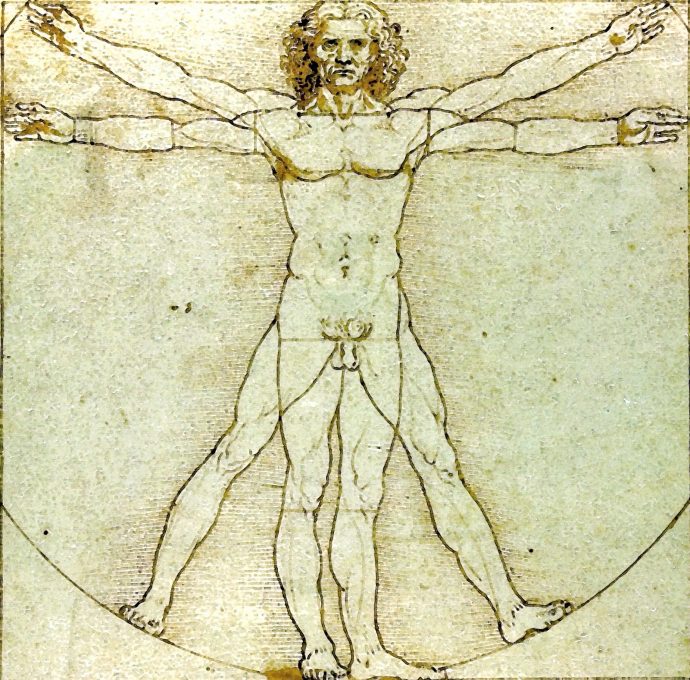 Vitruvian Man Da Vinci