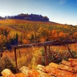 Tuscany landscape in Autumn