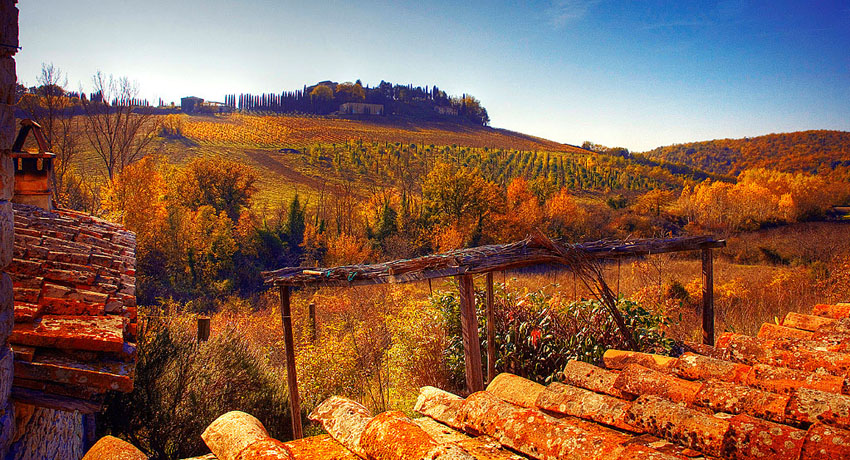 Tuscany Autumn