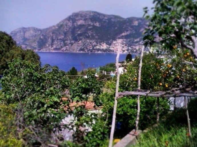 stunning sea view from lemon gardens in Amalfi