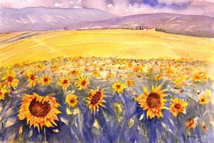 watercolour painting by Michael Gahagan of Tuscan sunflowers fields