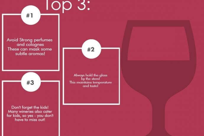 Puglia Wine tasting Infographic