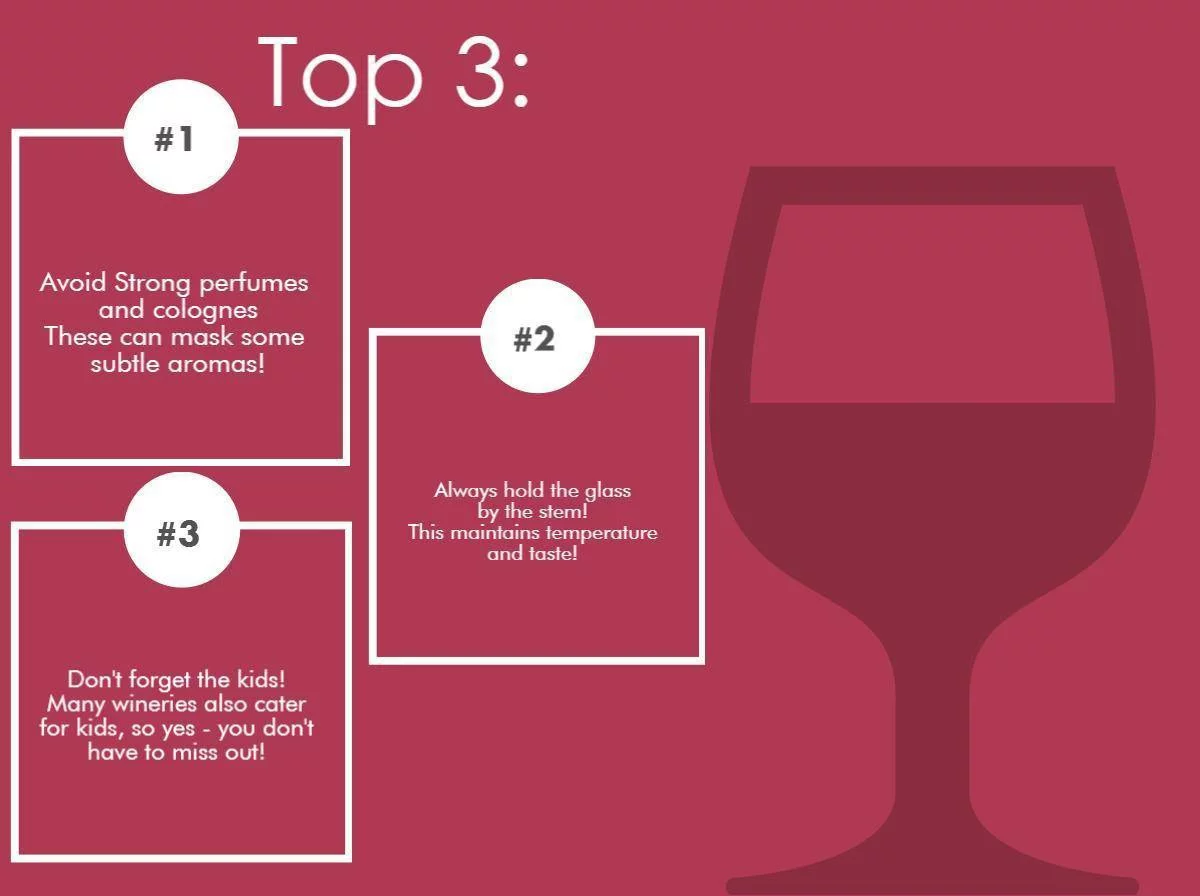 Puglia Wine tasting Infographic