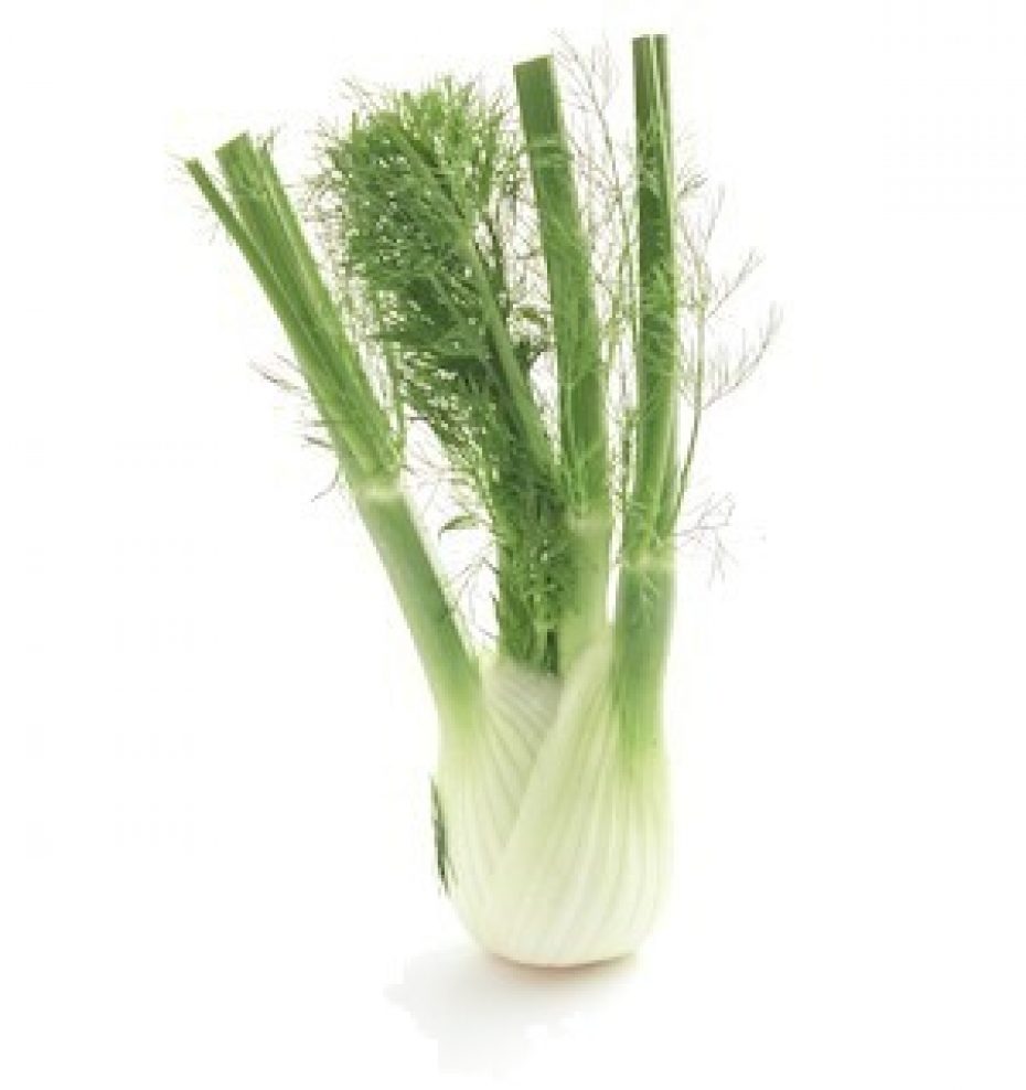 Fennel is a seasonal ingredient