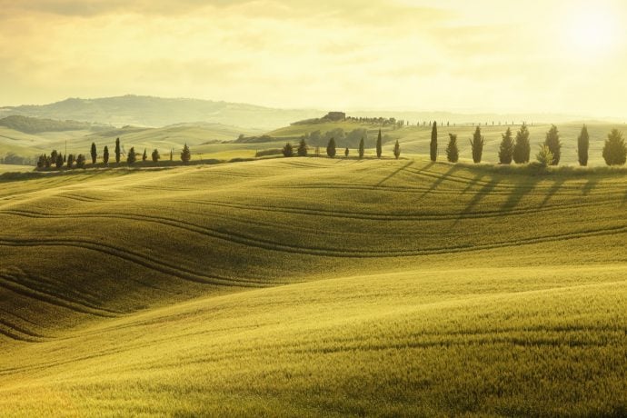 Lush green Tuscan landscape with a villa