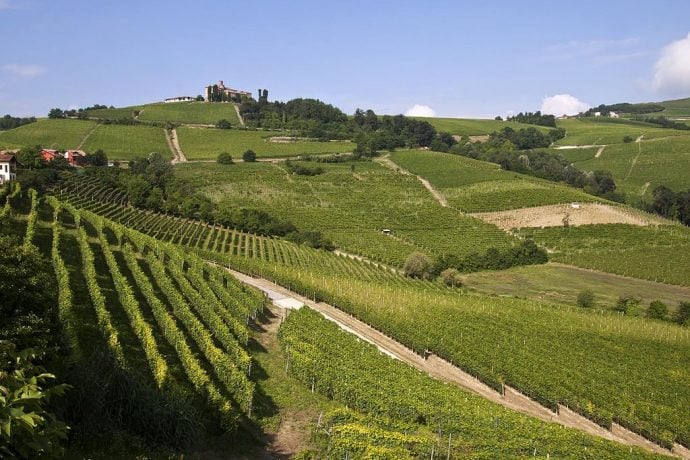 Panorama landscape of Langhe, Piedmonte