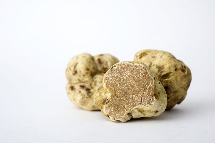 Three white truffles