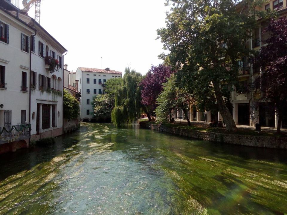 Treviso