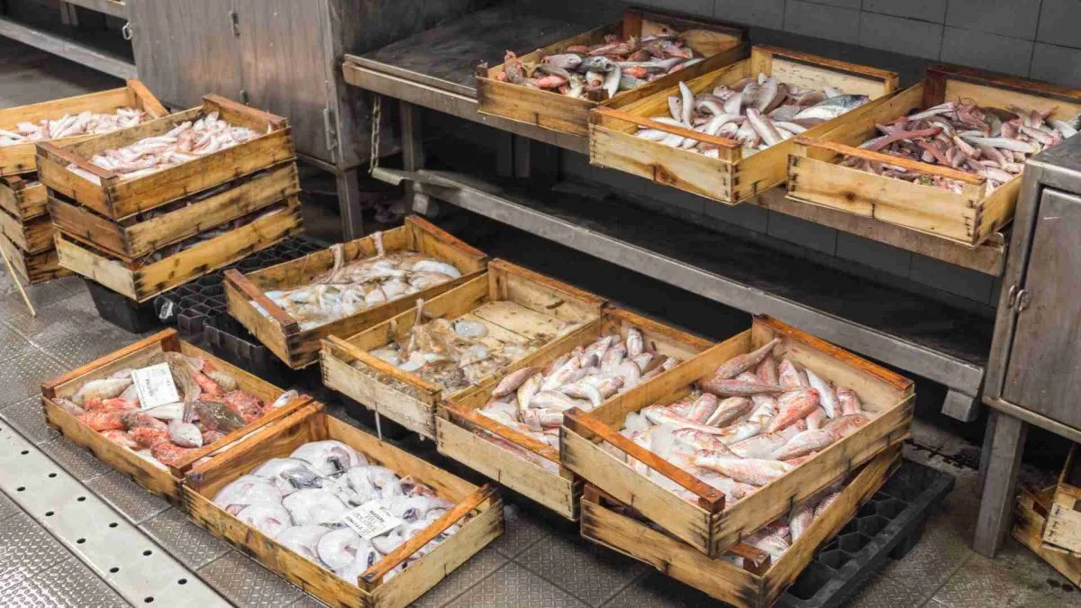 Italian lifestyle lessons market