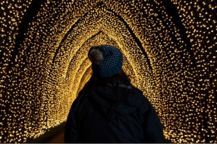 Christmas at the Botanics