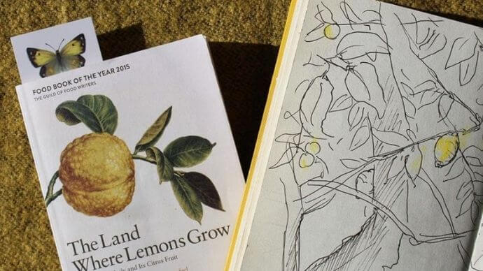 The Land Where Lemons Grow is one of the nicest books to read this summer