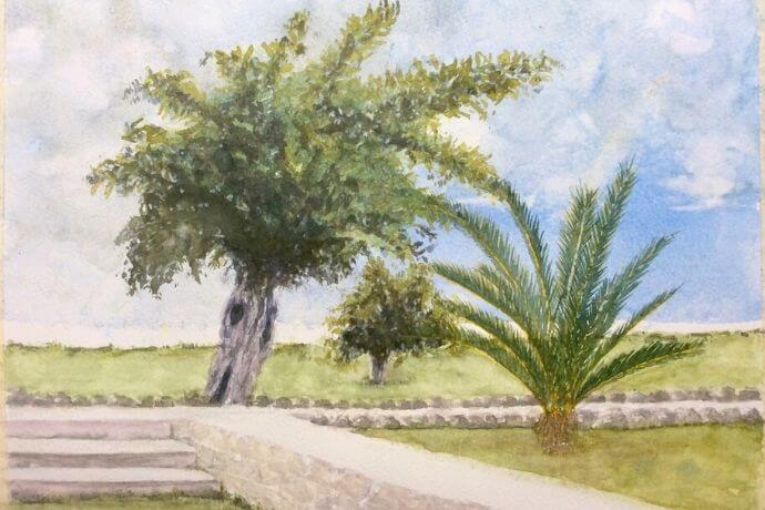 A painting of the beautiful Sicily tree's