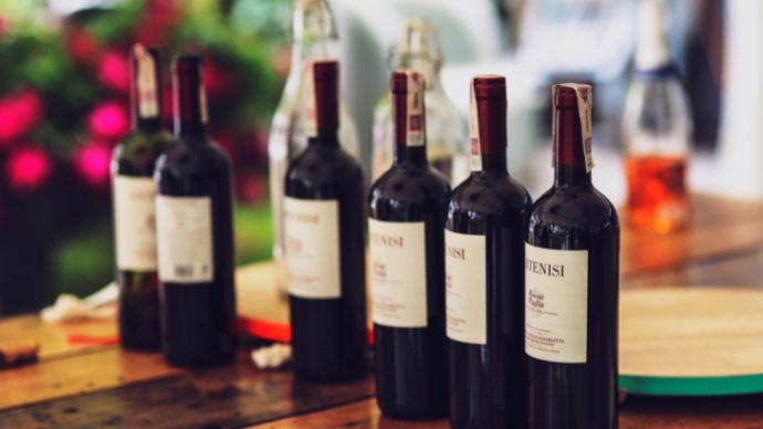 Wine bottles for a wine tasting event