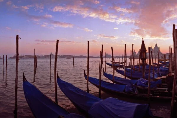 Gondolas lined up at sunset in Venice