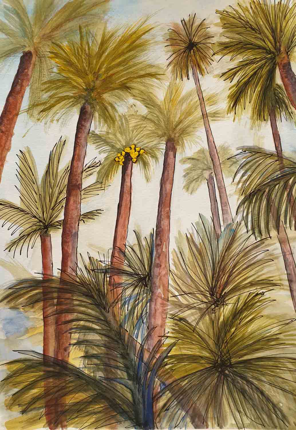 Palm Trees - Morocco - Jude Chalk