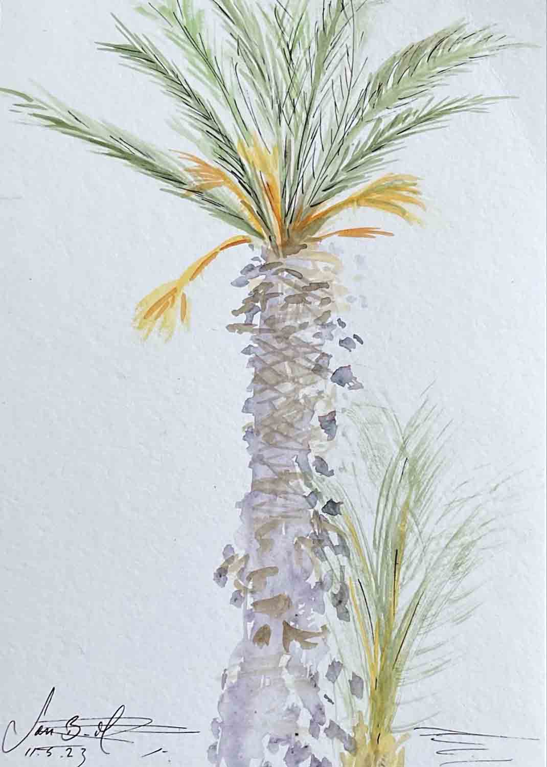 The Art of Travel Exhibition Palm Tree in Puglia, Jan Britton