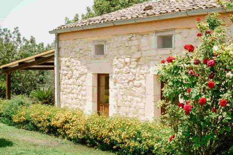 Villa & Flowers