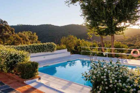 Scenic Pool Terrace