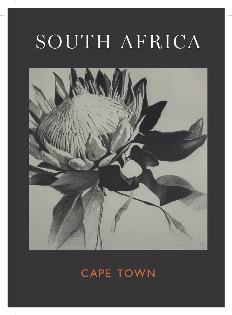 Margaret's striking protea using rich shadows and delicate highlights.