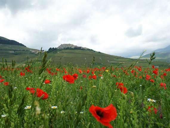 spring-flowers-in-sicily Spring in Sicily with flowers and hills