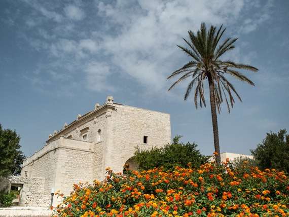 Vlla-in-Sicily Villa and Palm Tree in Sicily