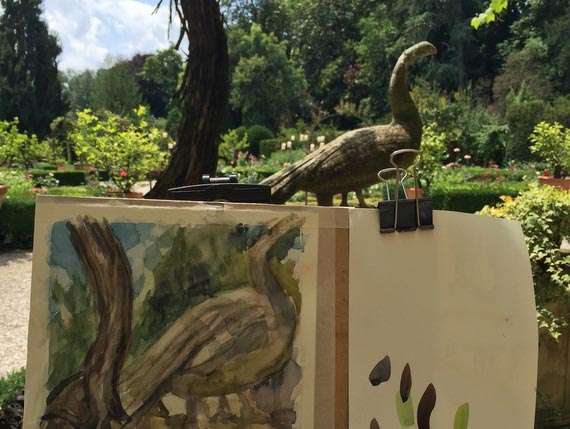 Watercolour painting in our beautiful garden in Venice. Watercolour painting in our beautiful garden in Venice.